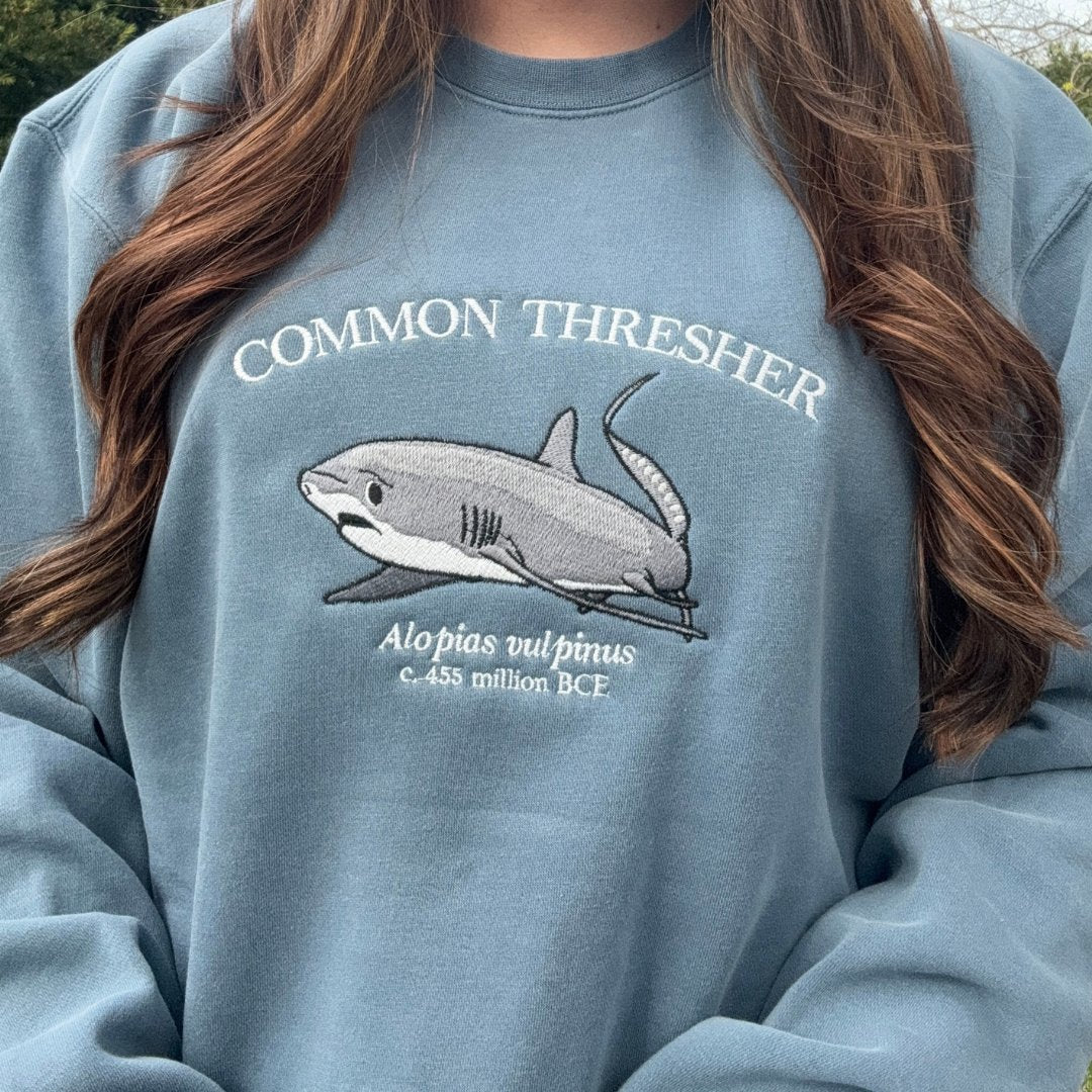 (PREORDER) Common Thresher Shark - Fauna & Co