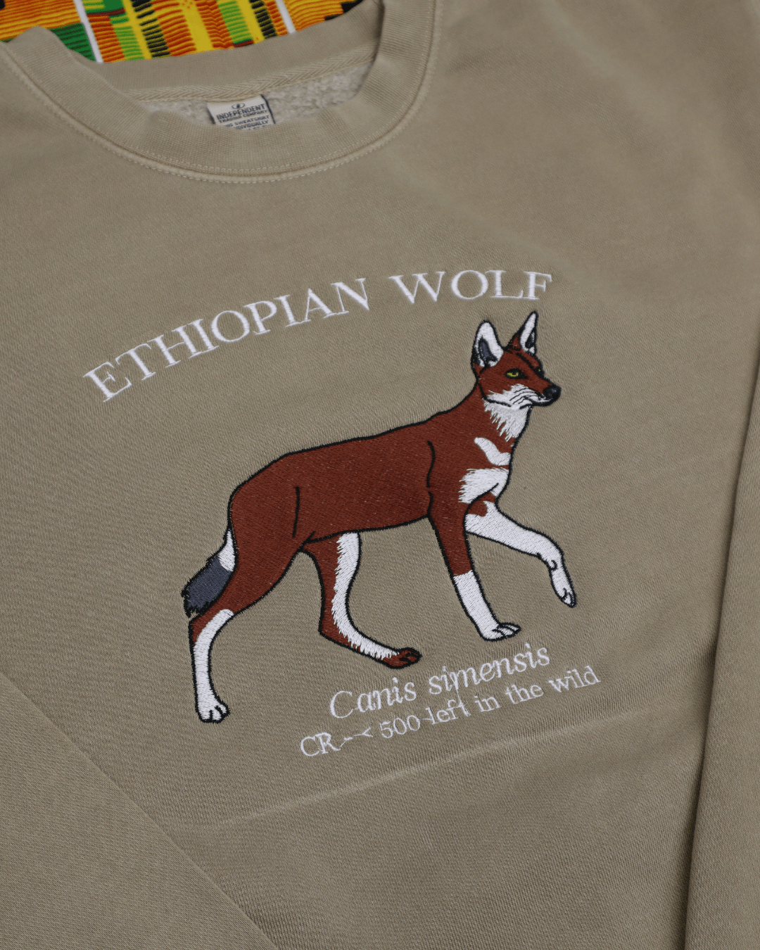 (PREORDER) Ethiopian Wolf - Fauna & Co