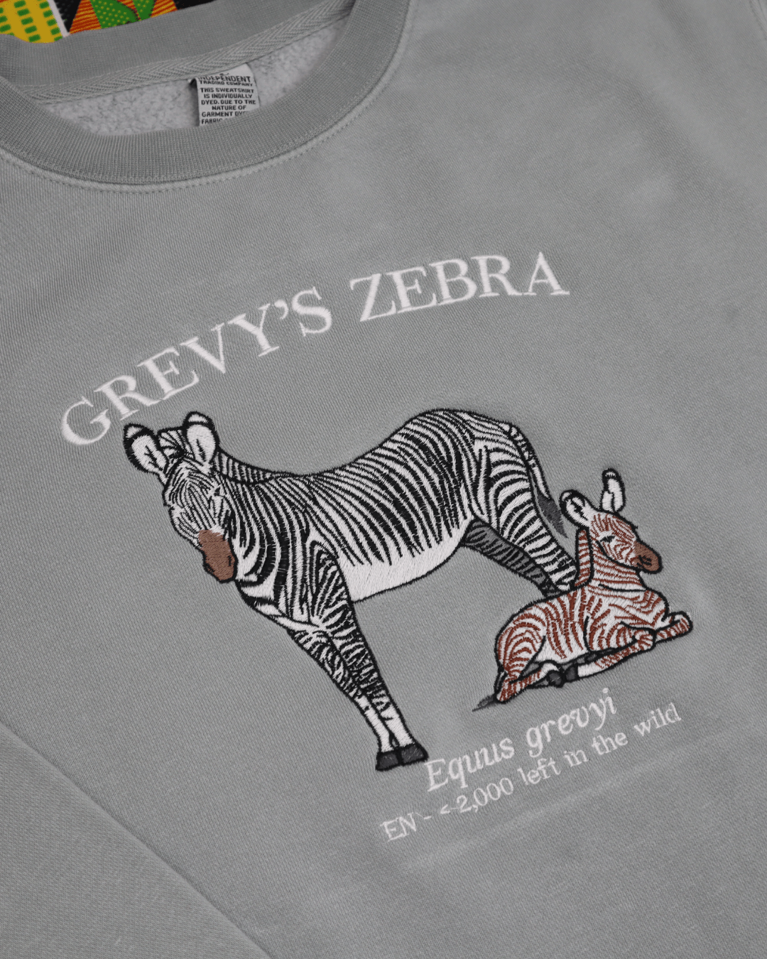 (PREORDER) Grevy's Zebra - Fauna & Co