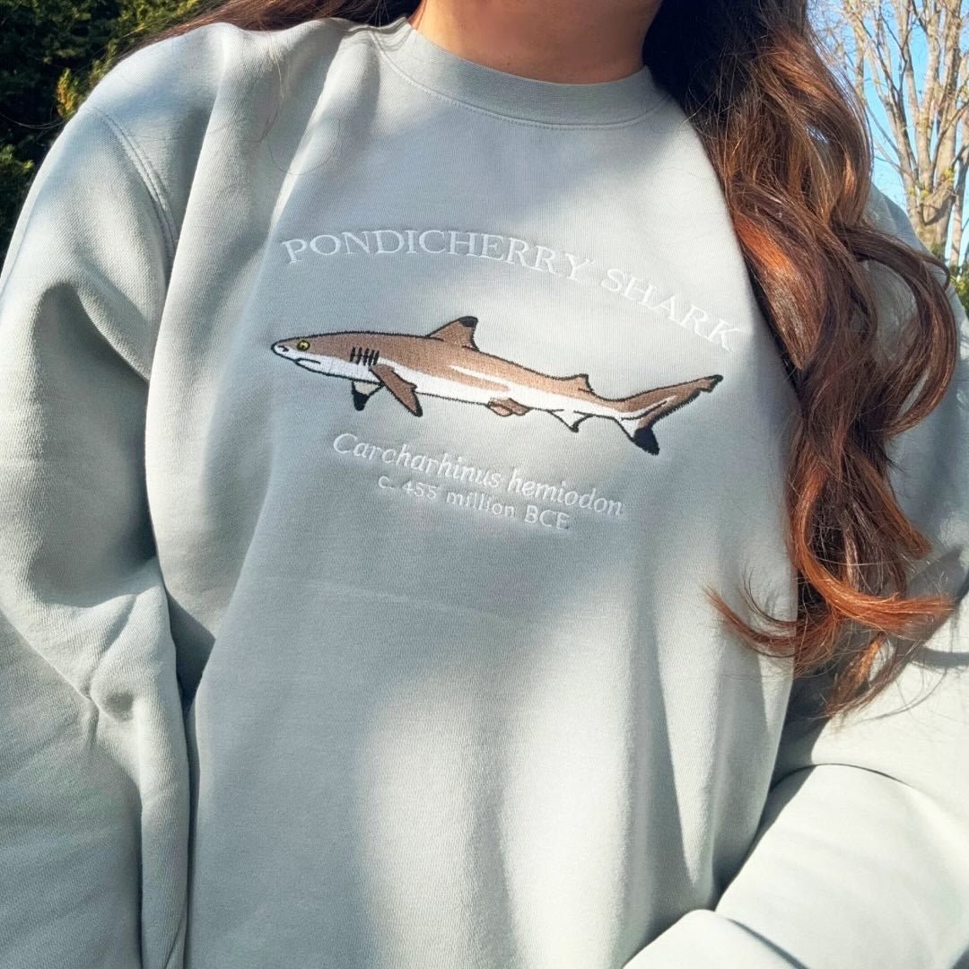 (PREORDER) Pondicherry Shark - Fauna & Co