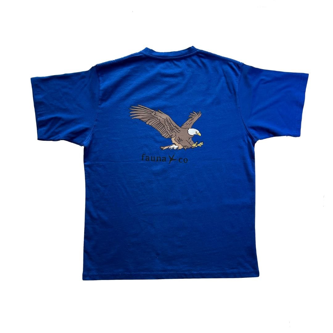 Bald Eagle - Fauna & Co