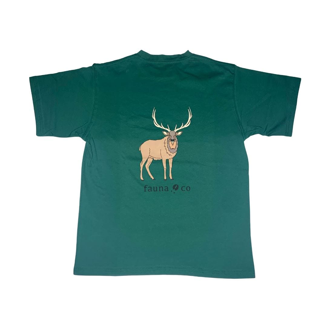 North American Elk - Fauna & Co